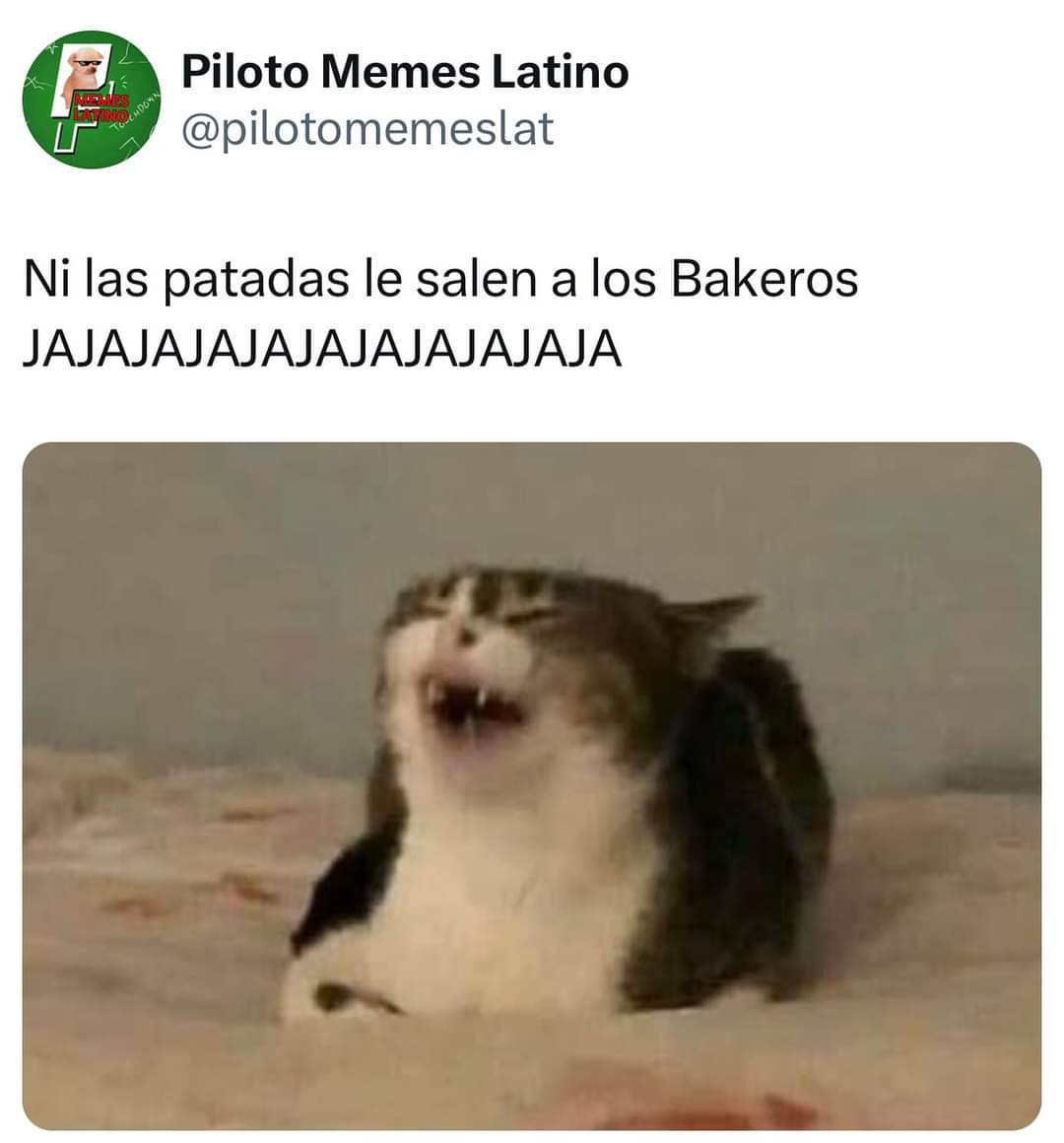 Piloto Memes Latino