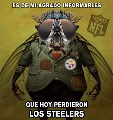 Memes de la NFL