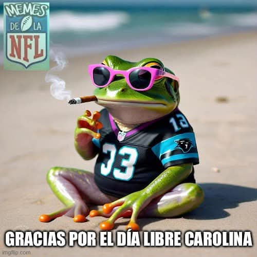 Memes de la NFL