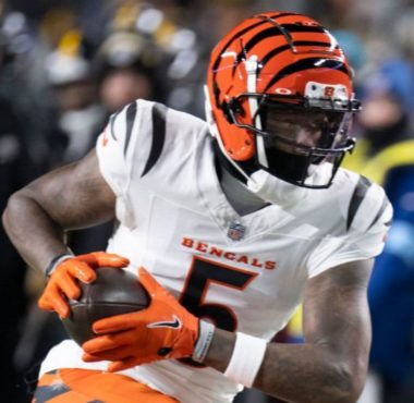 WR Tee Higgins, Cincinnati Bengals