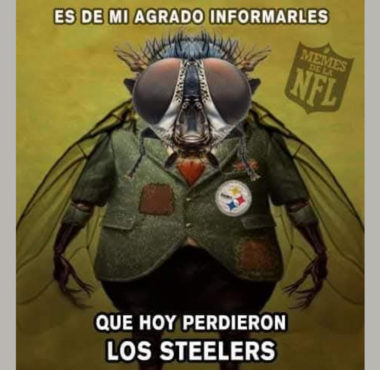 Memes de la NFL