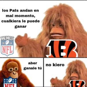 MEMES NFL