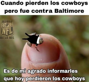 MEMESNFL