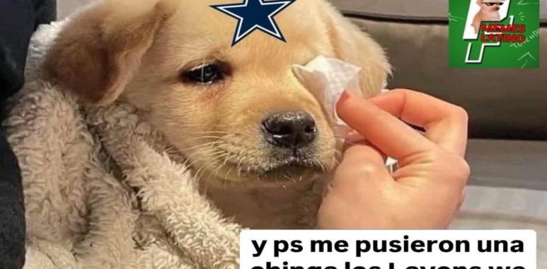 Piloto Memes Latino